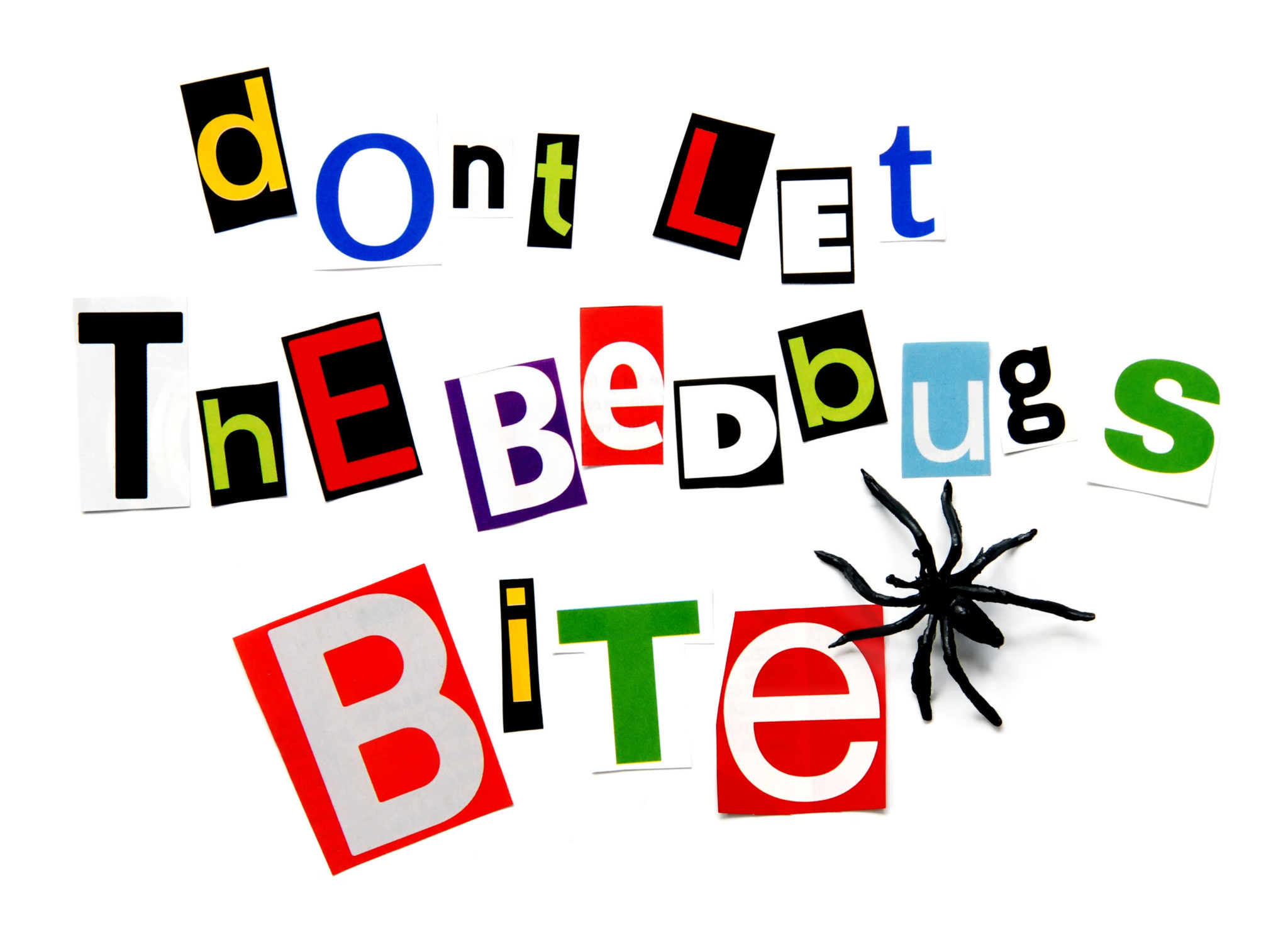 Don't Let The Bed Bugs Bite