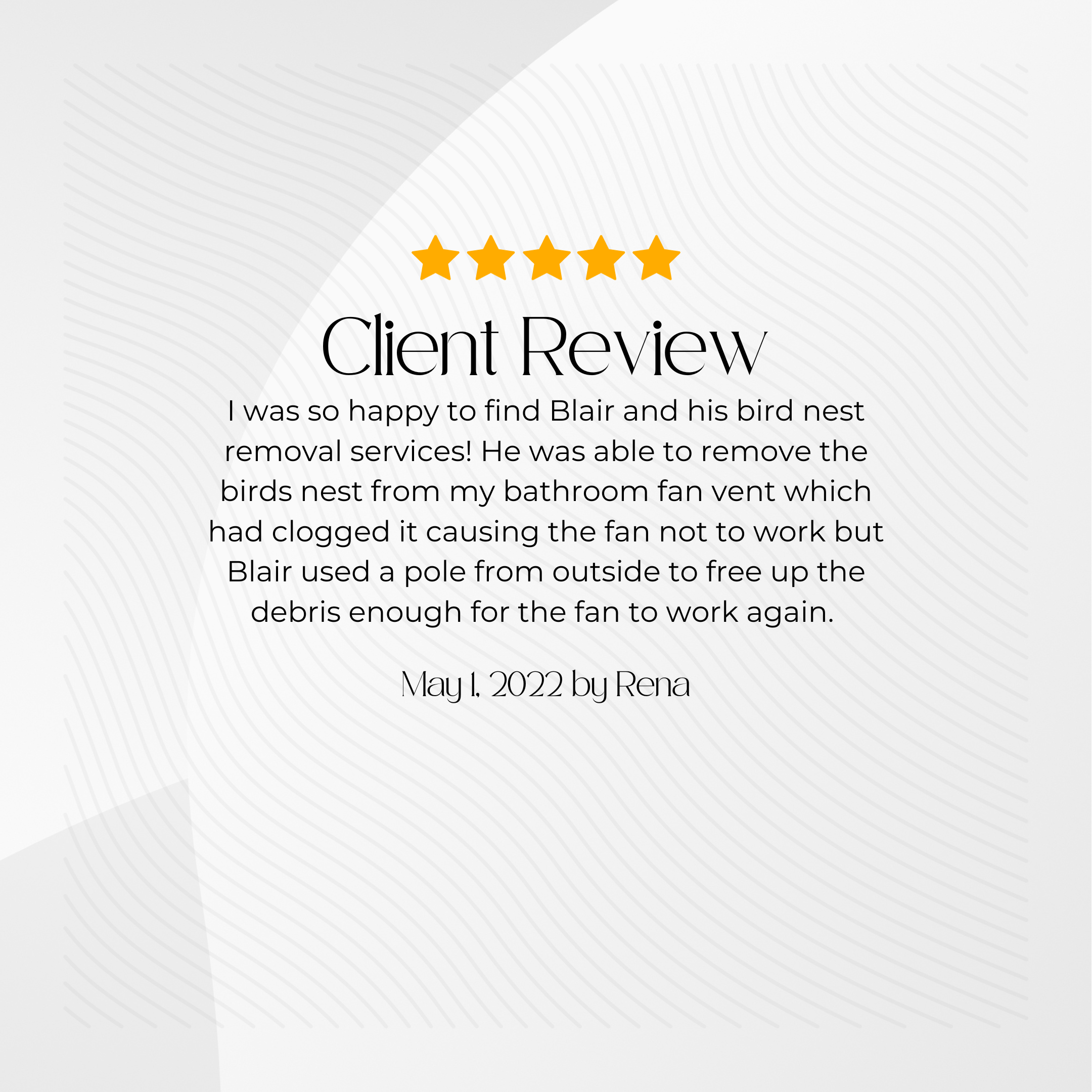 Review Bird Nest Removal