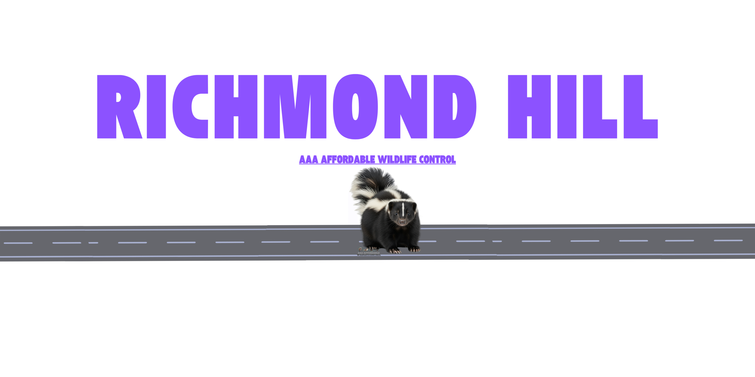 Skunk Removal Richmond Hill