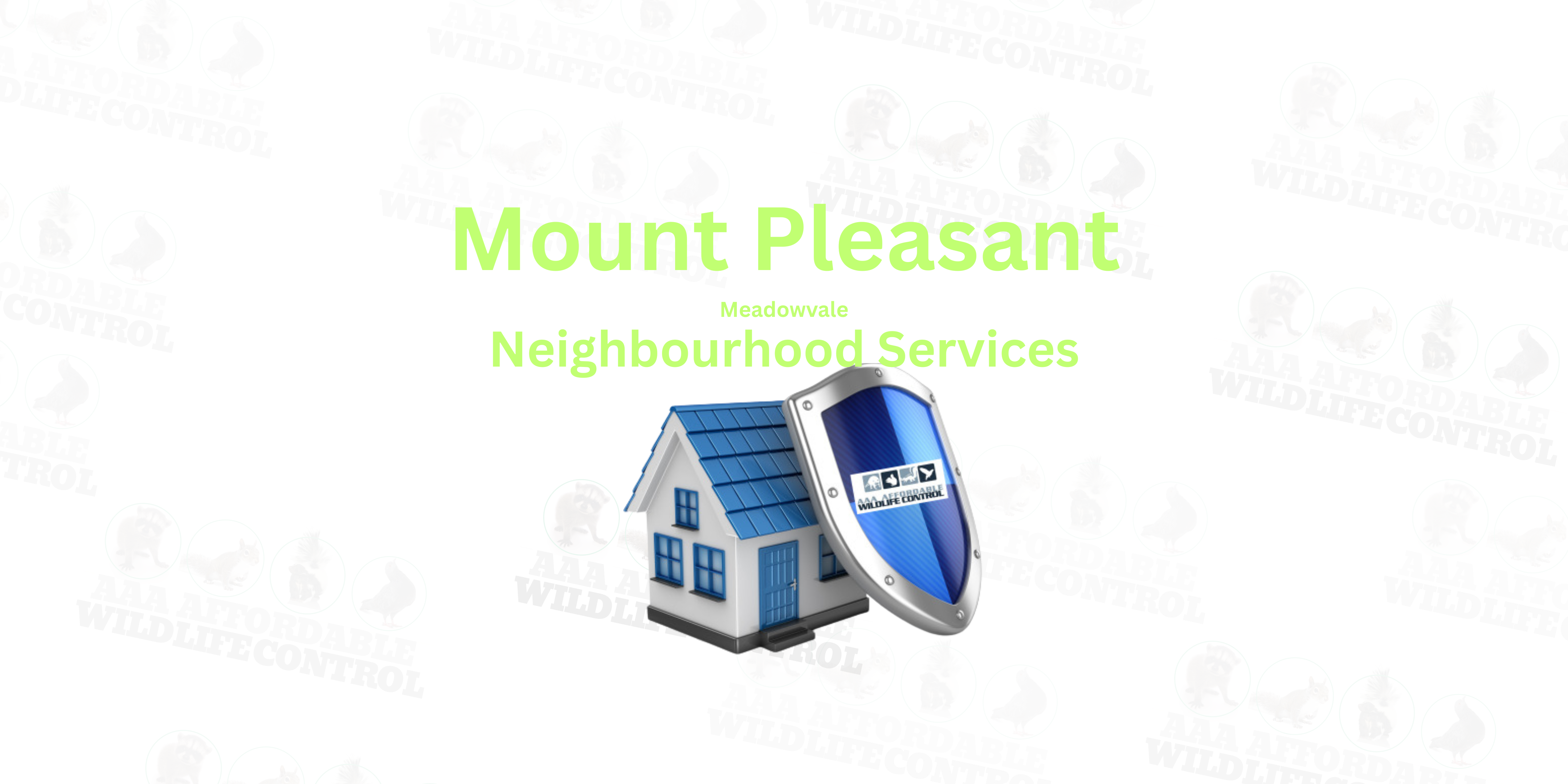 Wildlife Control Near Mount Pleasant in Brampton