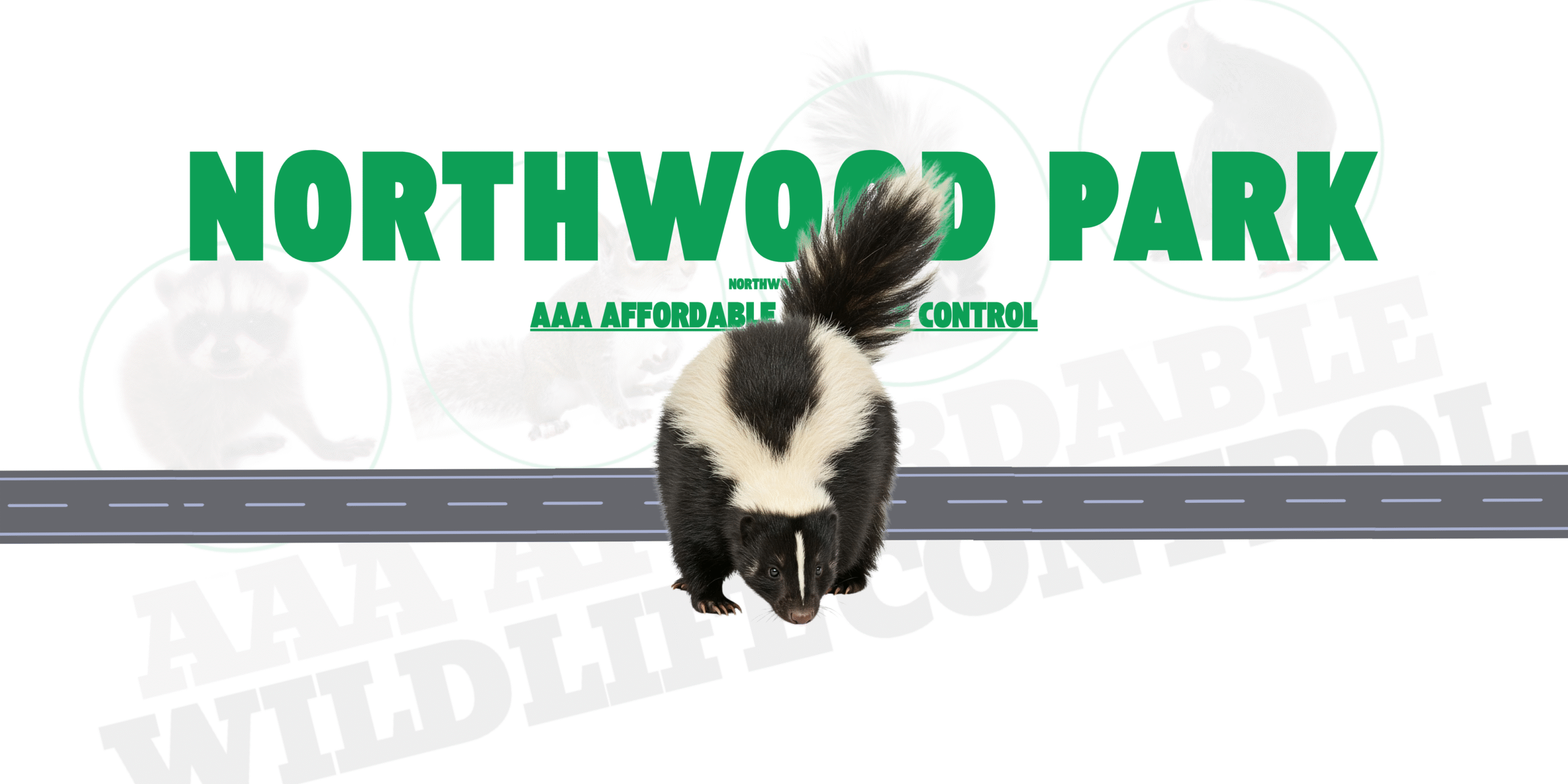 Skunk Removal in Northwood Park Brampton, AAA Affordable Wildlife Control