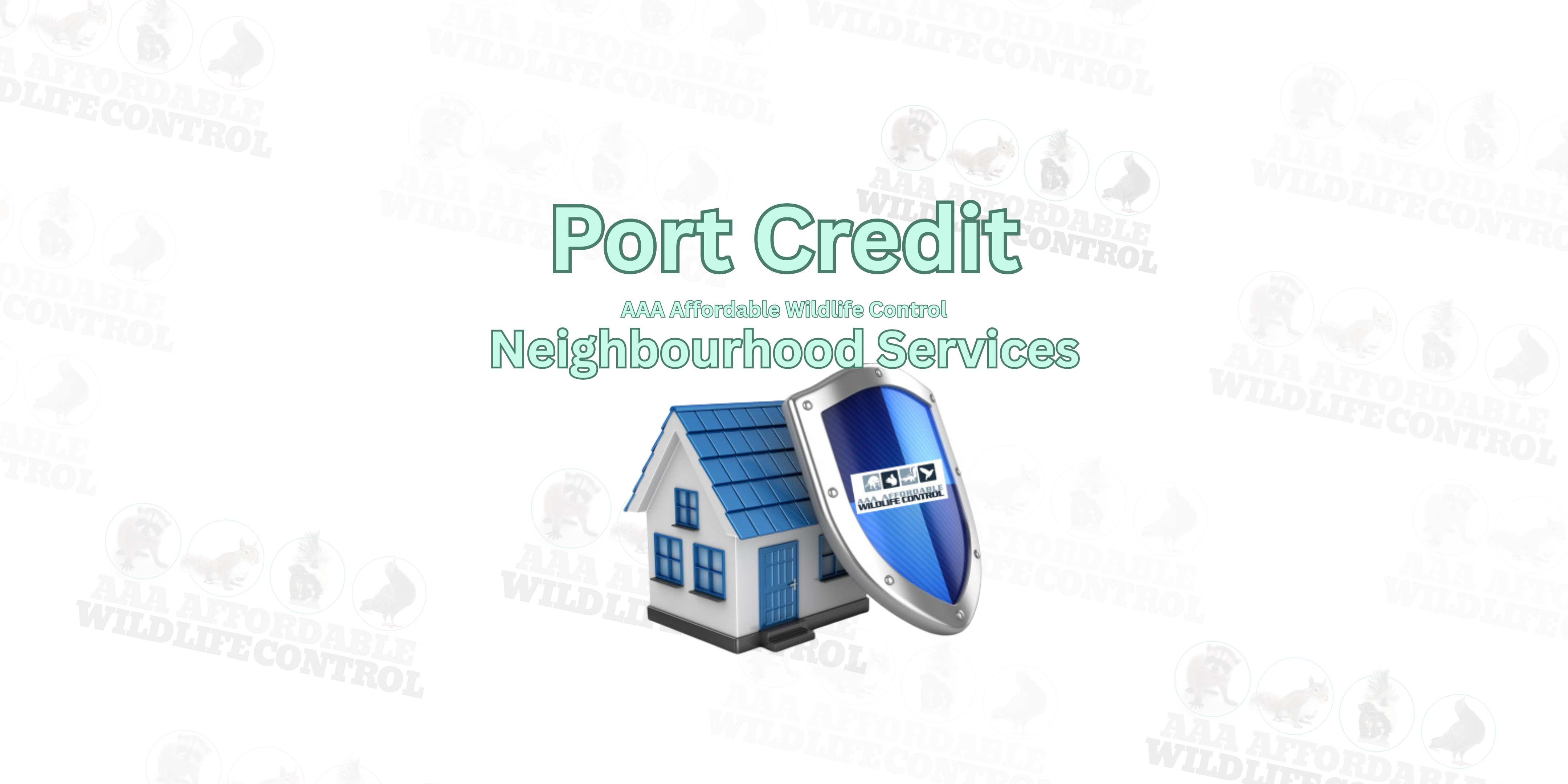 Wildlife Removal Port Credit, AAA Affordable Wildlife Control