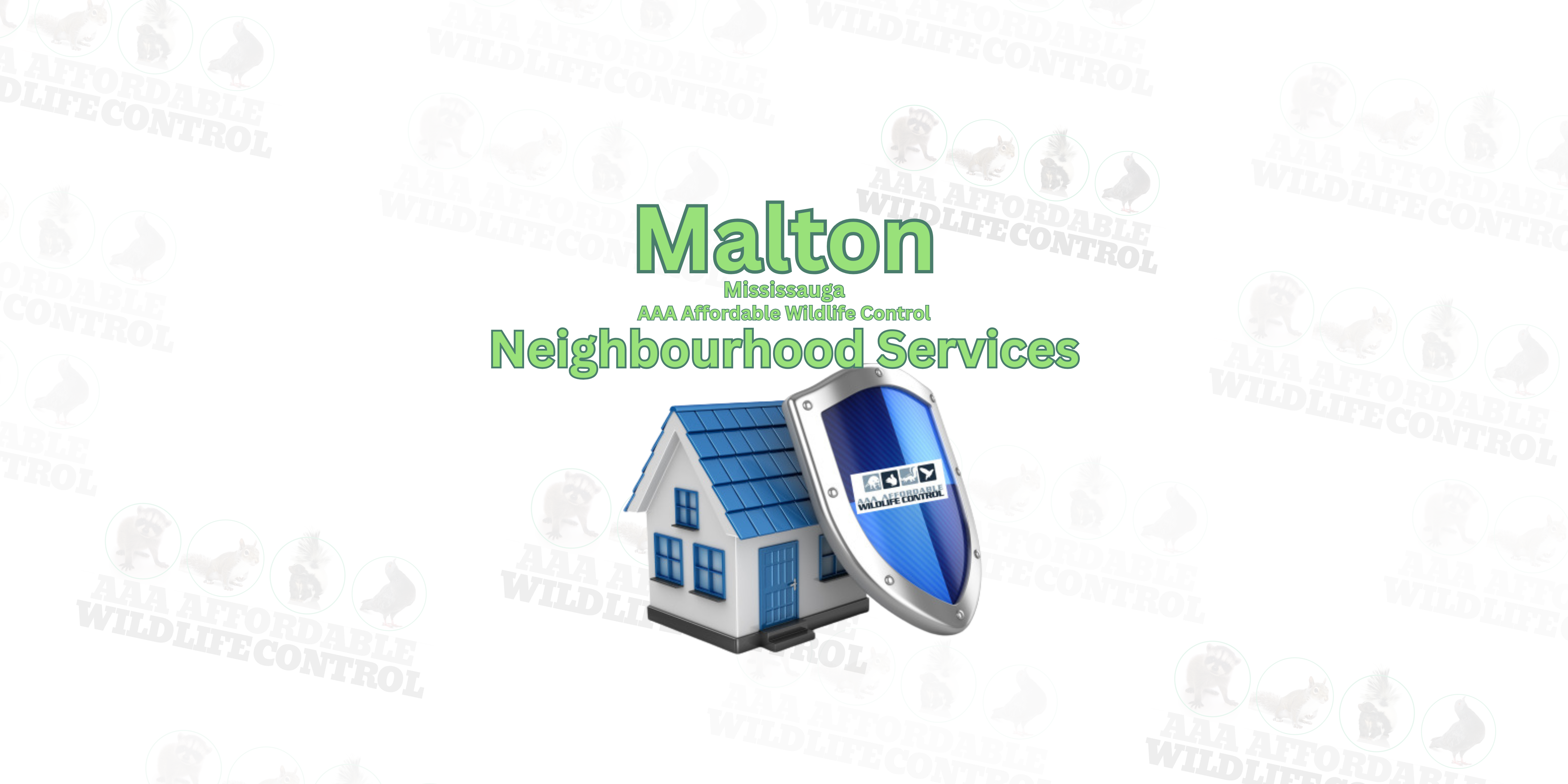 Wildlife Removal Malton, AAA Affordable Wildlife Control