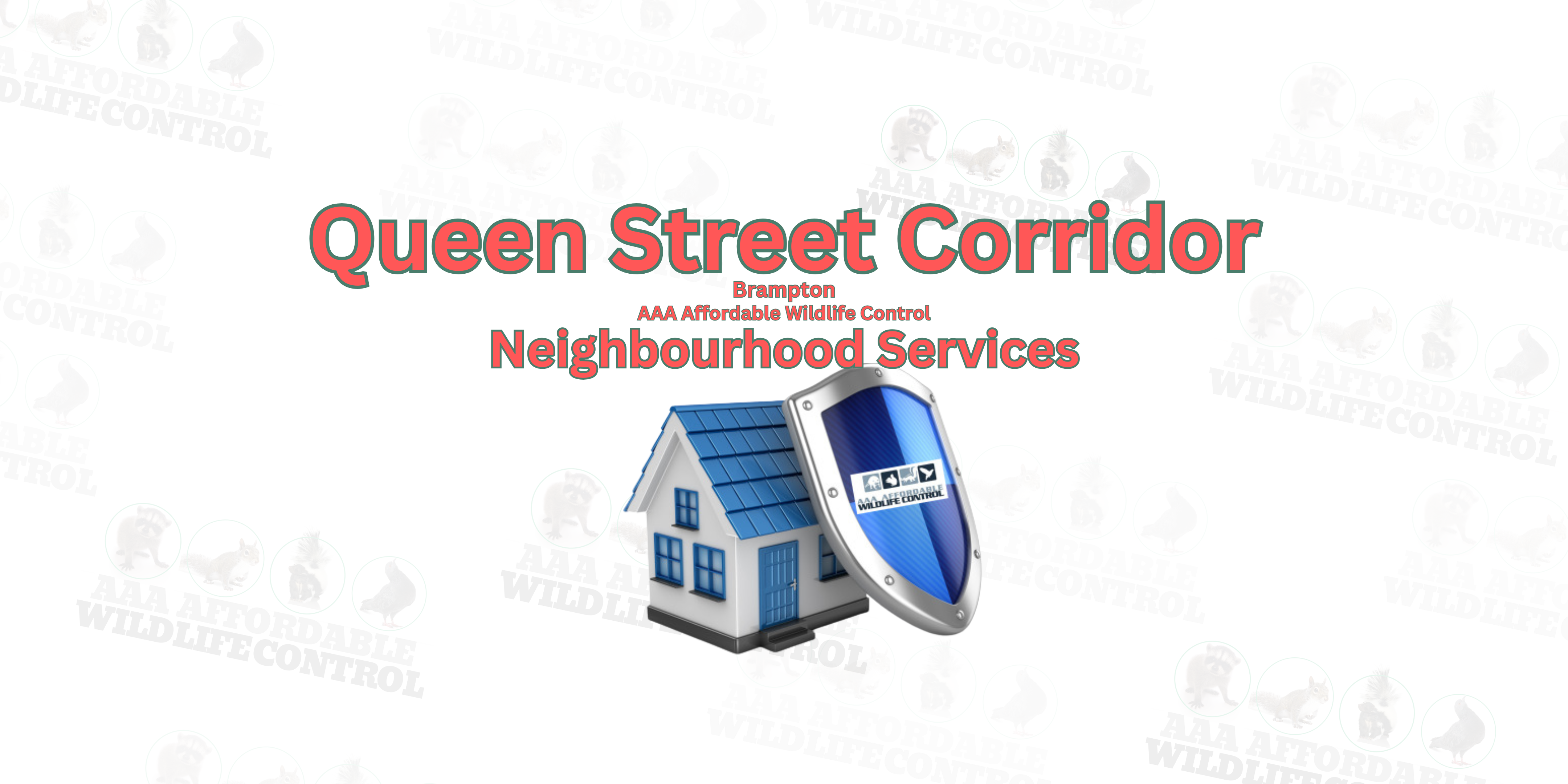 Wildlife Removal in the Queen Street Corridor, Brampton, AAA Affordable Wildlife Control