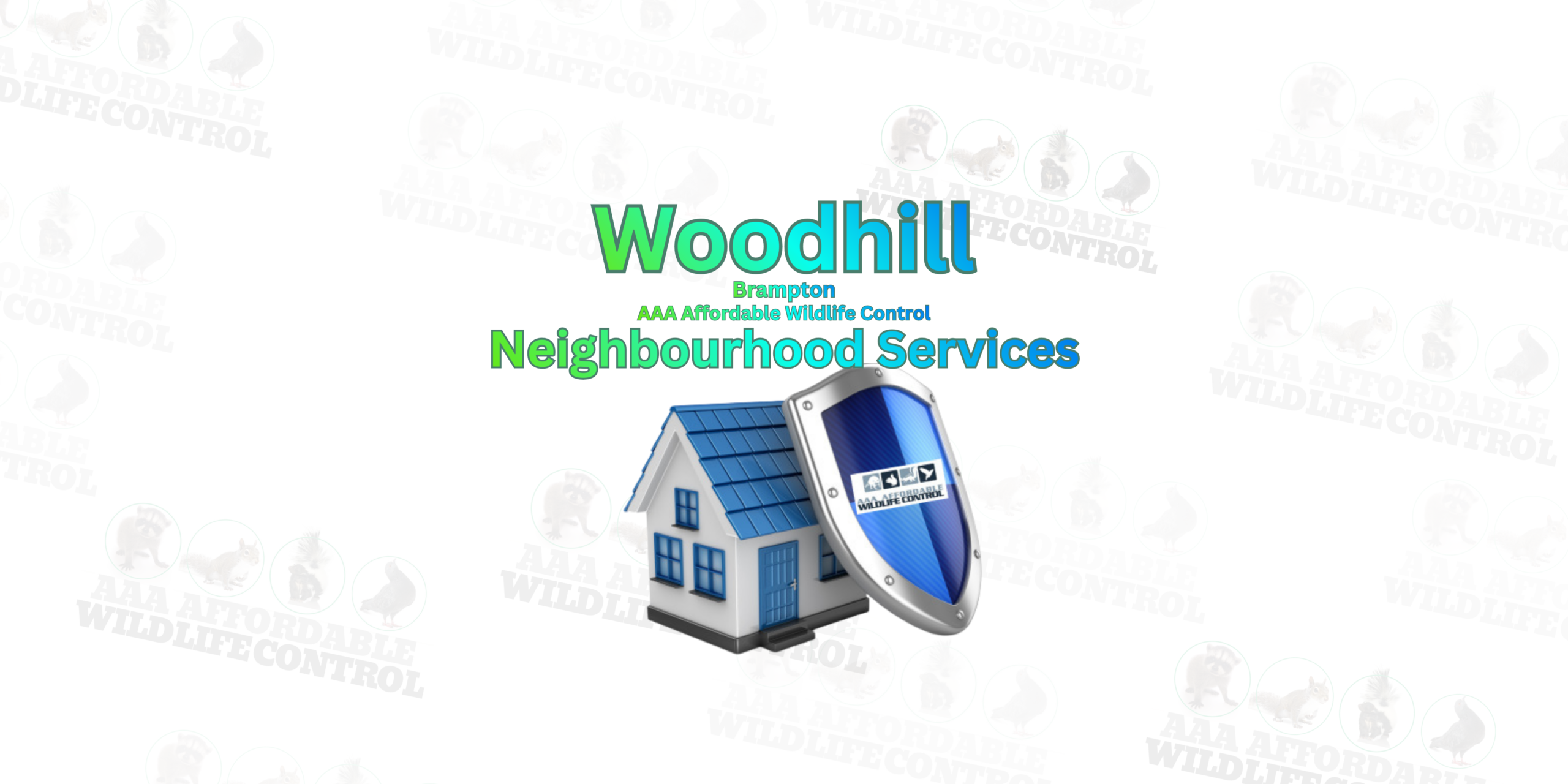 Raccoon Removal Woodhill in Brampton