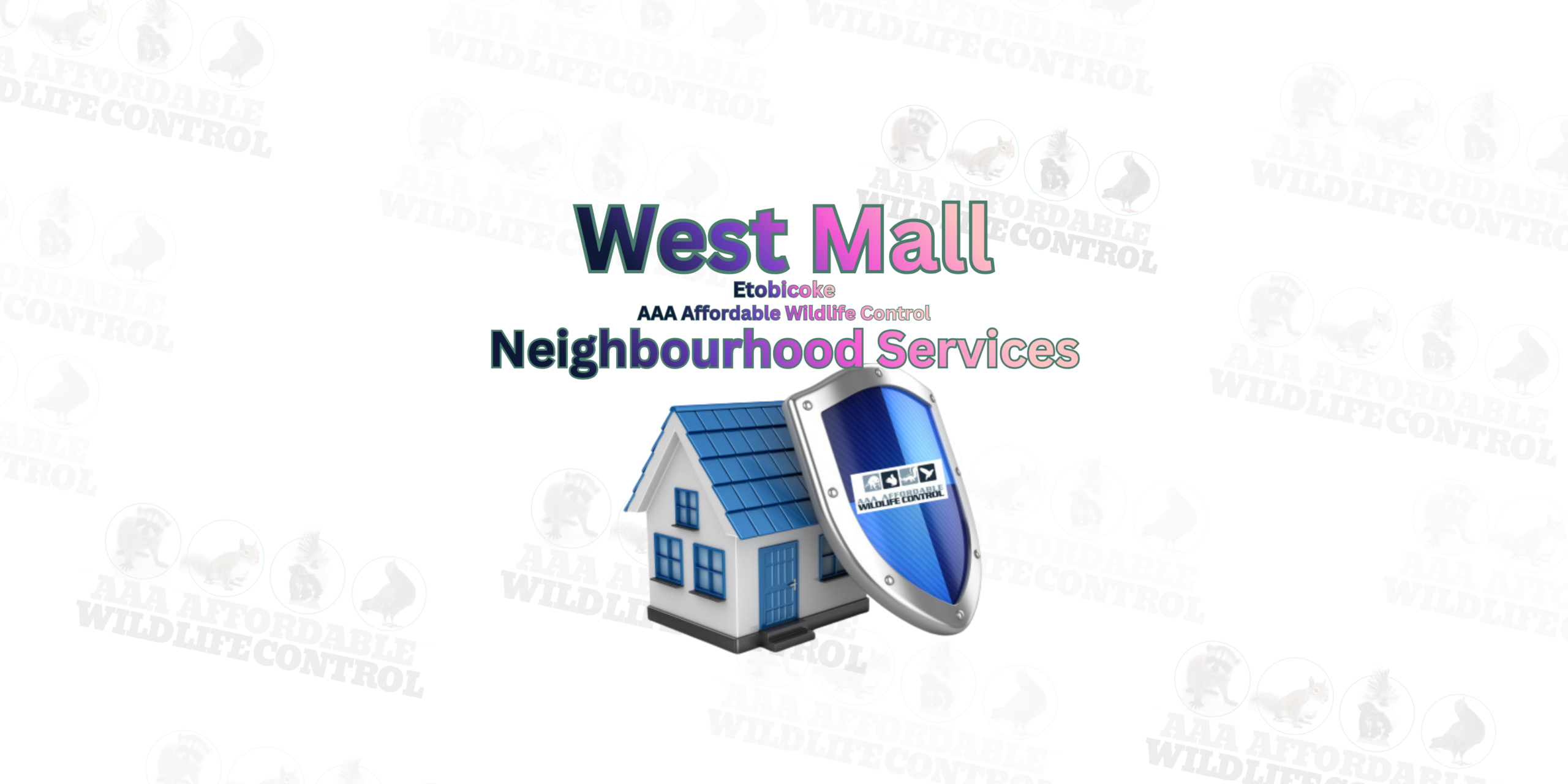 Squirrel Removal Etobicoke Near West Mall